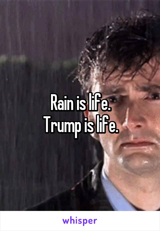 Rain is life.
Trump is life.