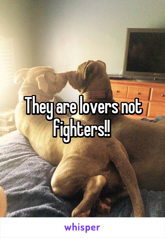 They are lovers not fighters!! 