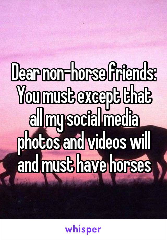 Dear non-horse friends:
You must except that all my social media photos and videos will and must have horses