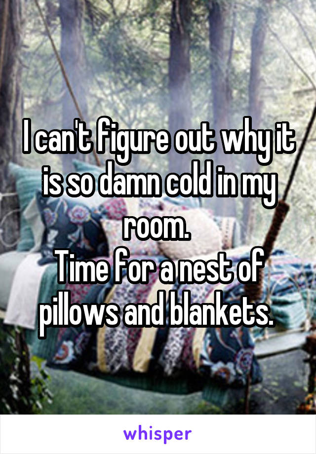 I can't figure out why it is so damn cold in my room. 
Time for a nest of pillows and blankets. 