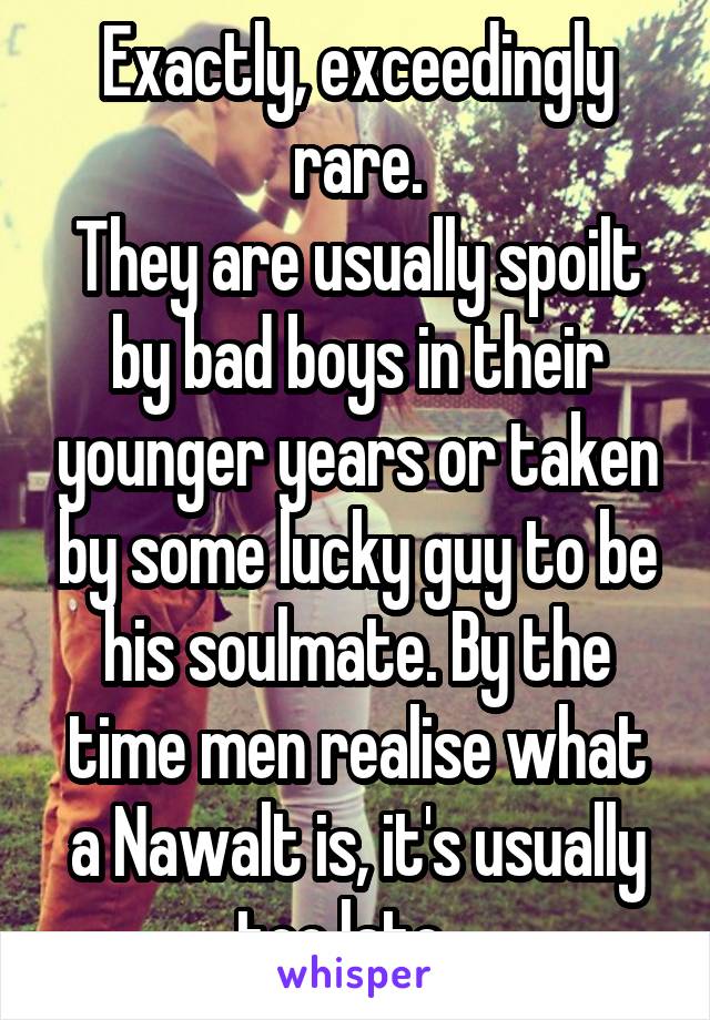Exactly, exceedingly rare.
They are usually spoilt by bad boys in their younger years or taken by some lucky guy to be his soulmate. By the time men realise what a Nawalt is, it's usually too late...