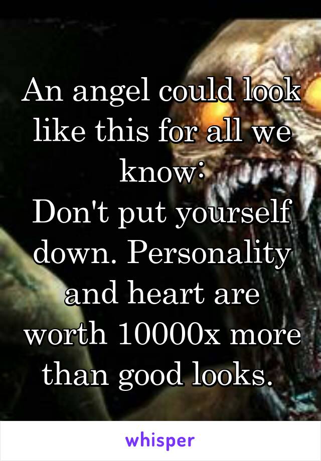 An angel could look like this for all we know:
Don't put yourself down. Personality and heart are worth 10000x more than good looks. 