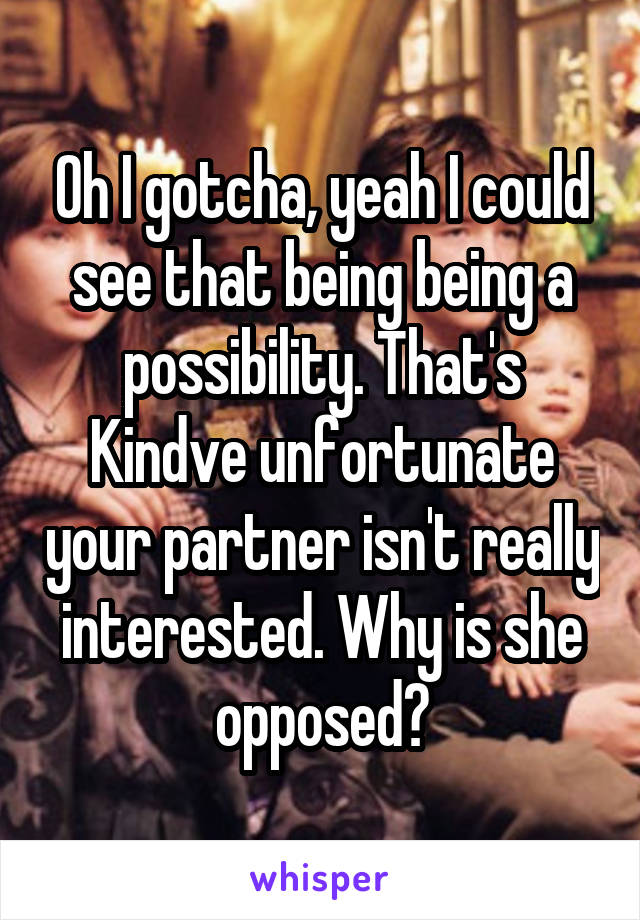 Oh I gotcha, yeah I could see that being being a possibility. That's Kindve unfortunate your partner isn't really interested. Why is she opposed?