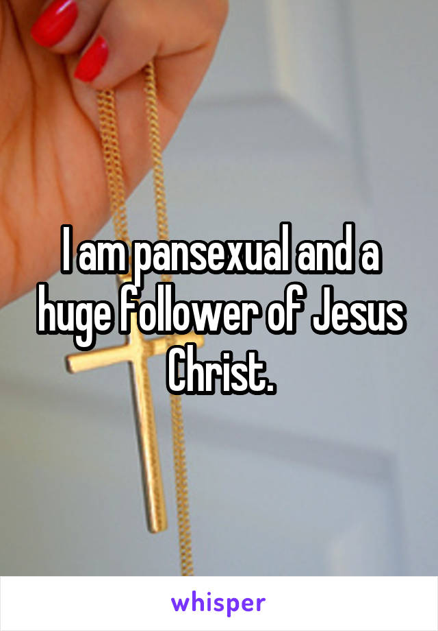 I am pansexual and a huge follower of Jesus Christ.
