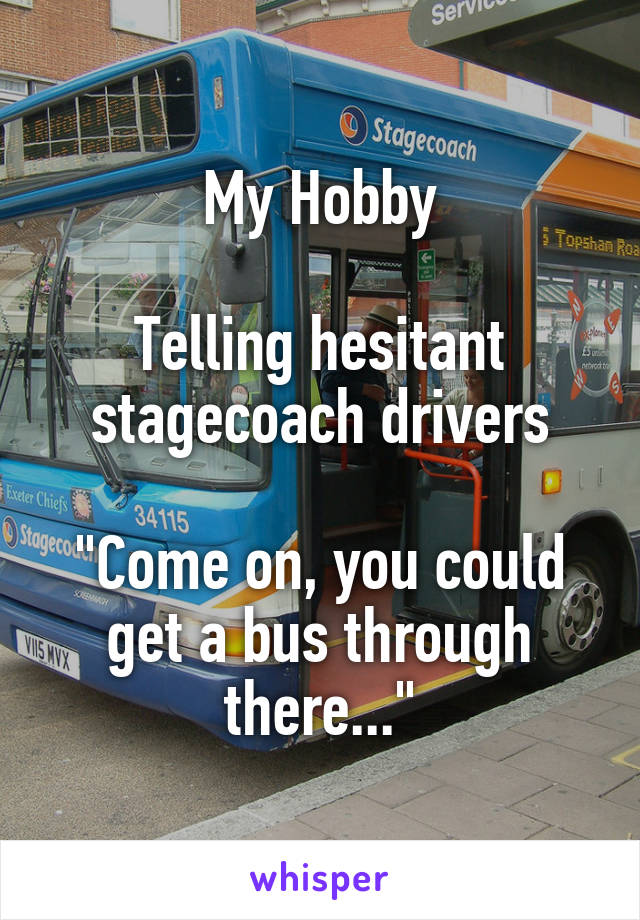 My Hobby

Telling hesitant stagecoach drivers

"Come on, you could get a bus through there..."