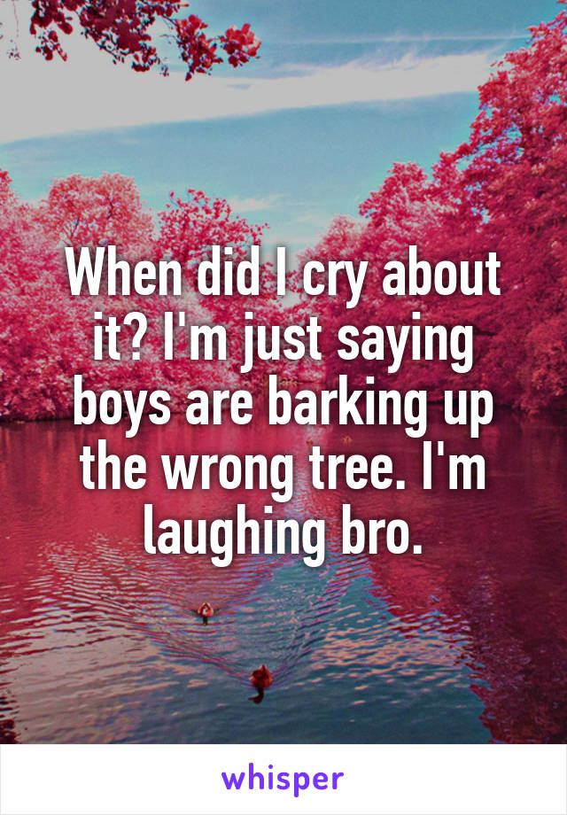 When did I cry about it? I'm just saying boys are barking up the wrong tree. I'm laughing bro.