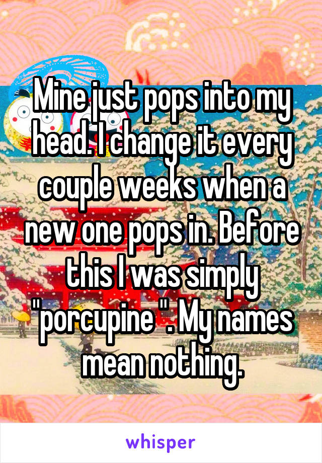 Mine just pops into my head. I change it every couple weeks when a new one pops in. Before this I was simply "porcupine ". My names mean nothing.