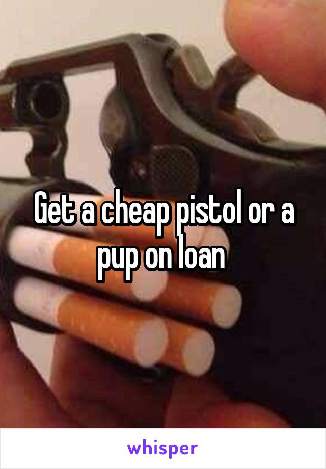Get a cheap pistol or a pup on loan 
