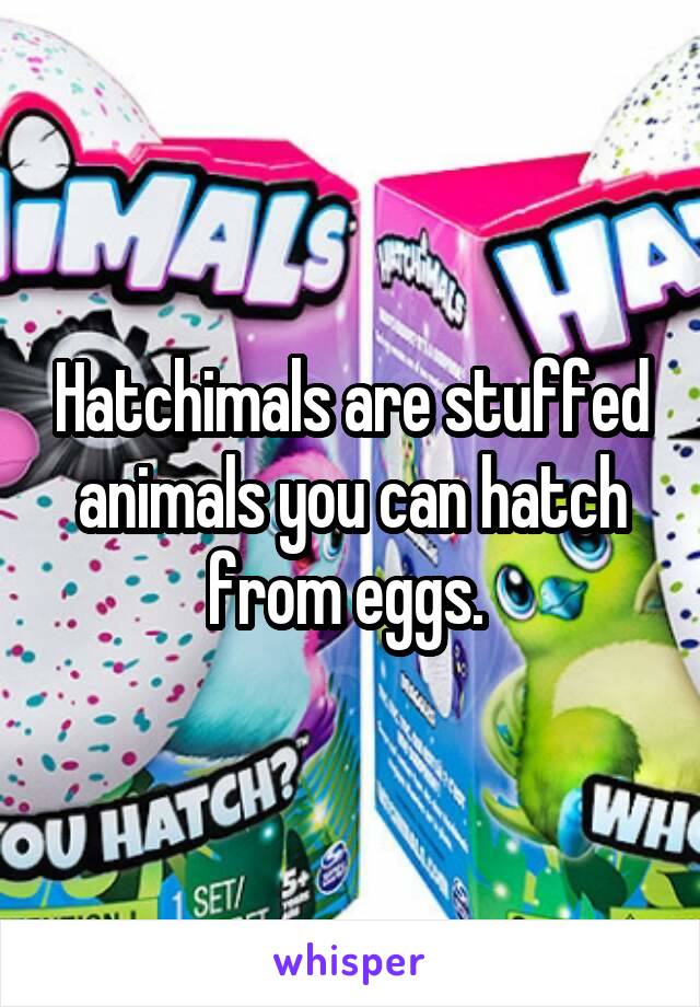 Hatchimals are stuffed animals you can hatch from eggs. 