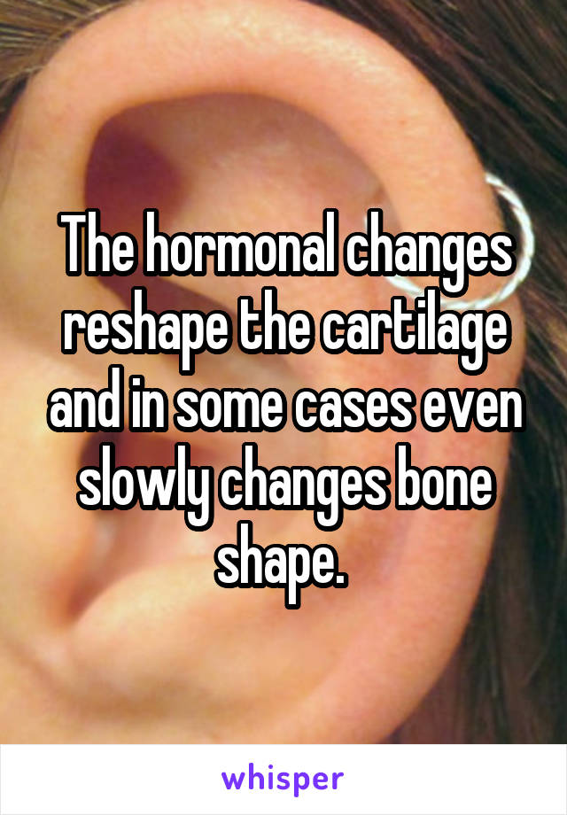 The hormonal changes reshape the cartilage and in some cases even slowly changes bone shape. 