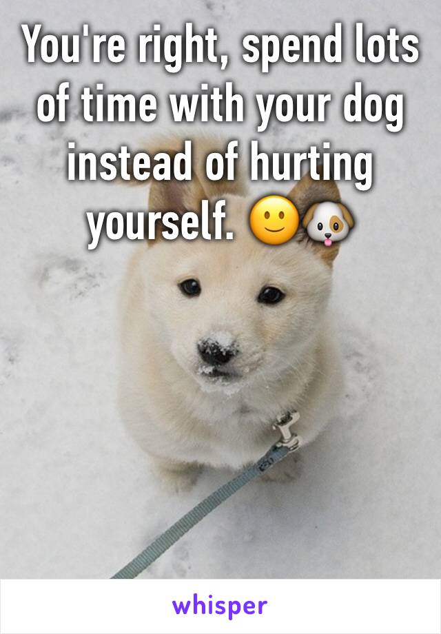 You're right, spend lots of time with your dog instead of hurting yourself. 🙂🐶