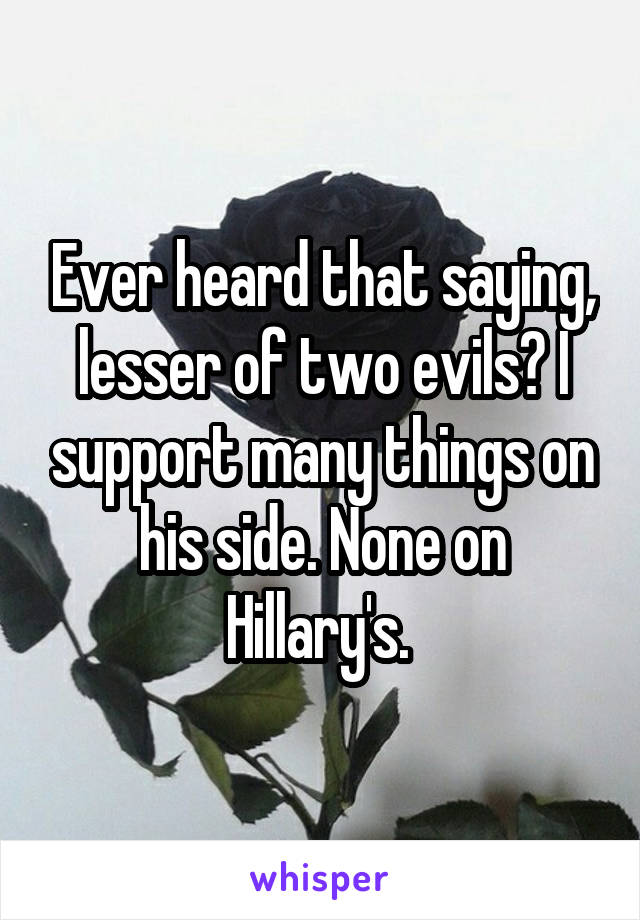 Ever heard that saying, lesser of two evils? I support many things on his side. None on Hillary's. 