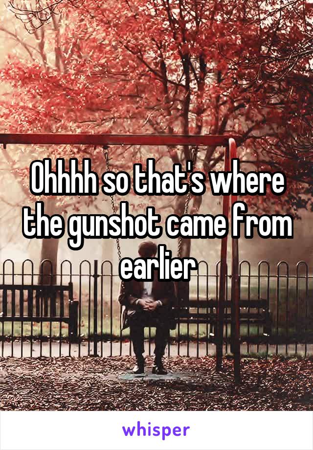 Ohhhh so that's where the gunshot came from earlier
