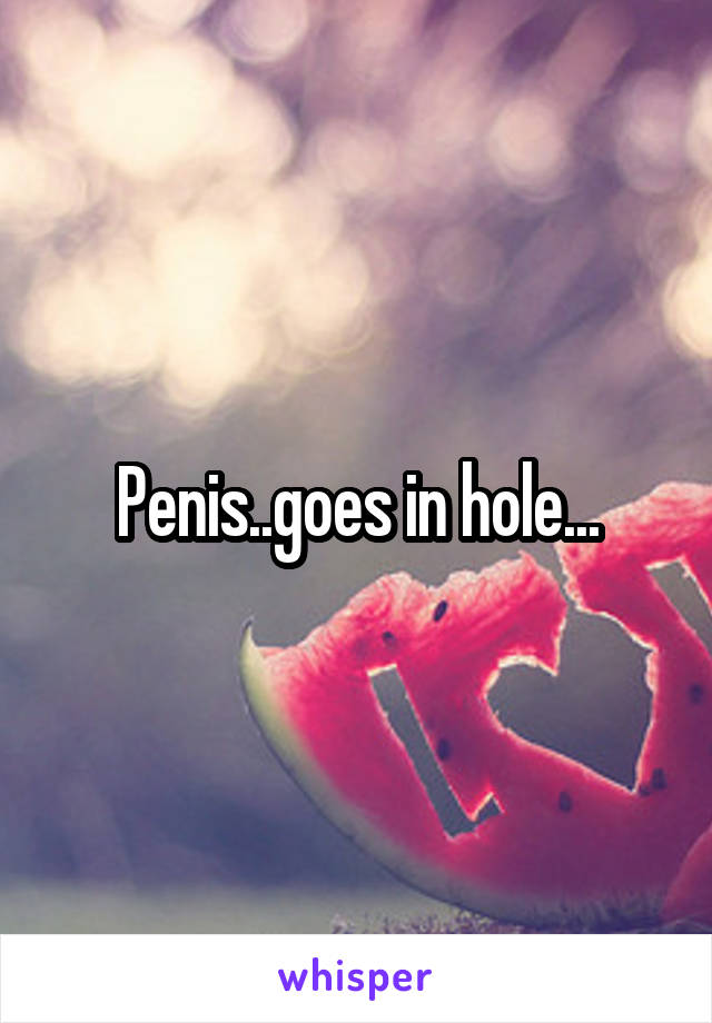 Penis..goes in hole...