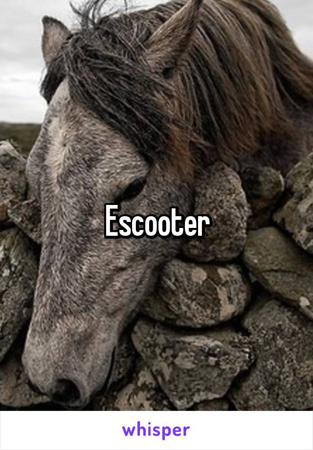 Escooter