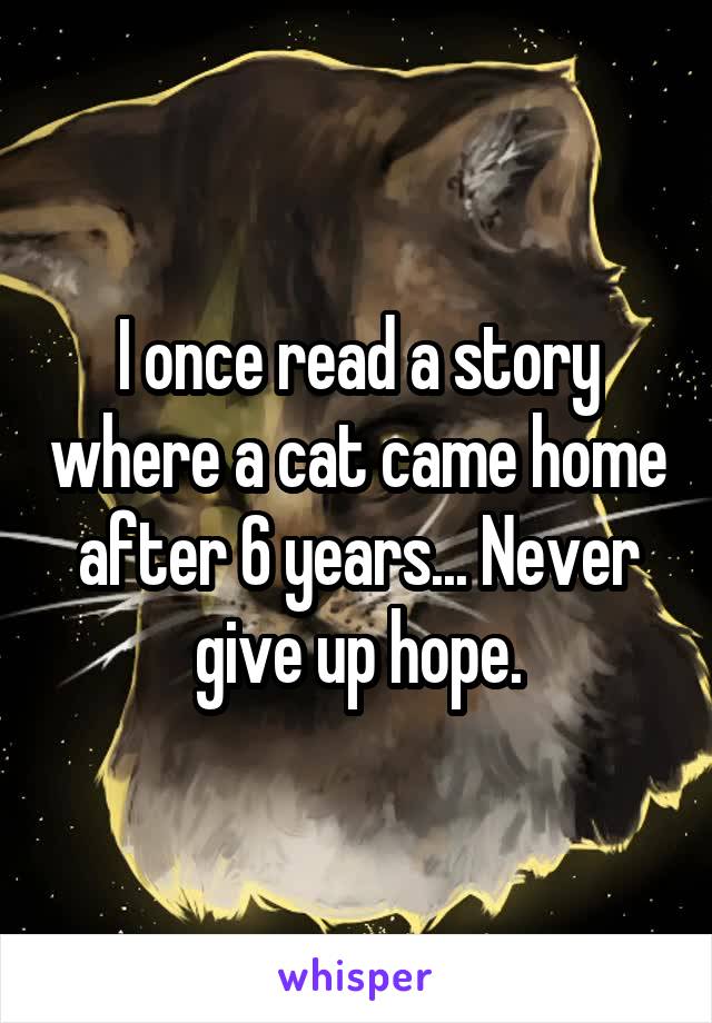 I once read a story where a cat came home after 6 years... Never give up hope.