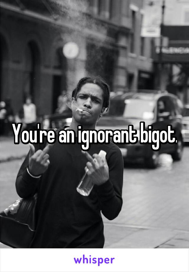 You're an ignorant bigot.