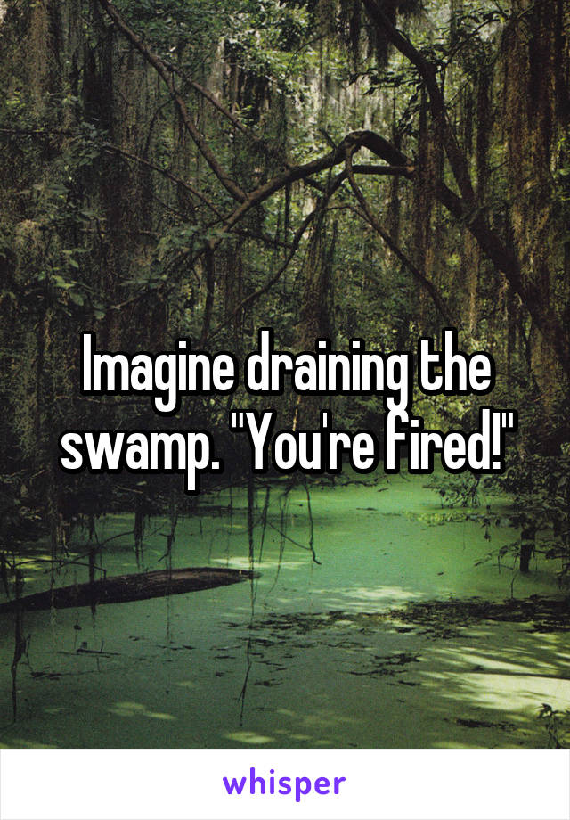 Imagine draining the swamp. "You're fired!"