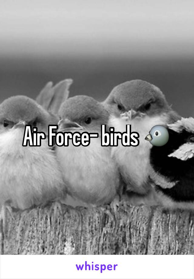 Air Force- birds 🐦 