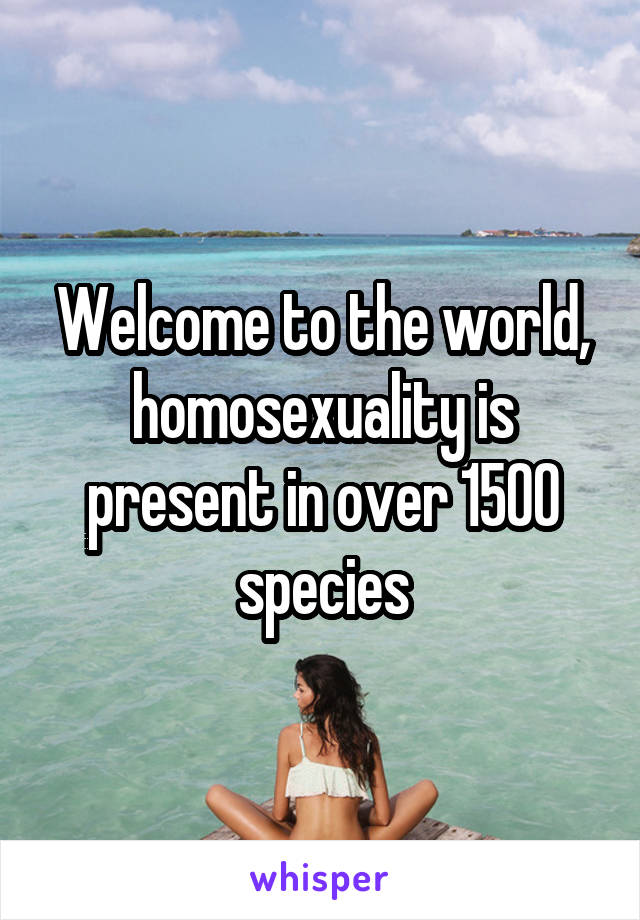 Welcome to the world, homosexuality is present in over 1500 species