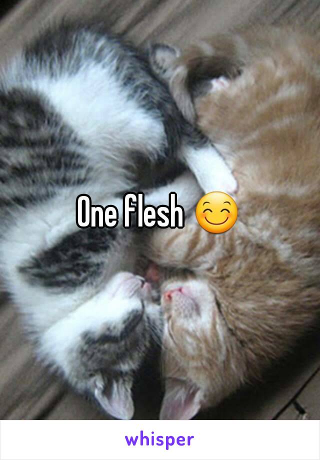 One flesh 😊