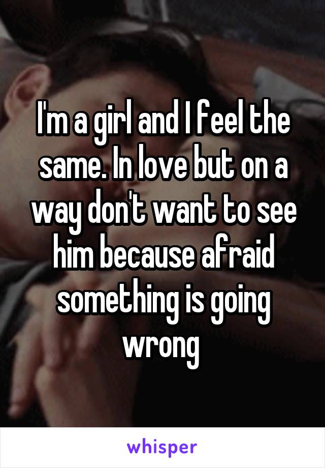 I'm a girl and I feel the same. In love but on a way don't want to see him because afraid something is going wrong 