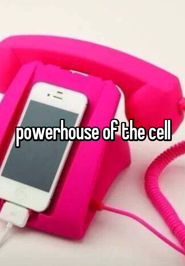 powerhouse-of-the-cell