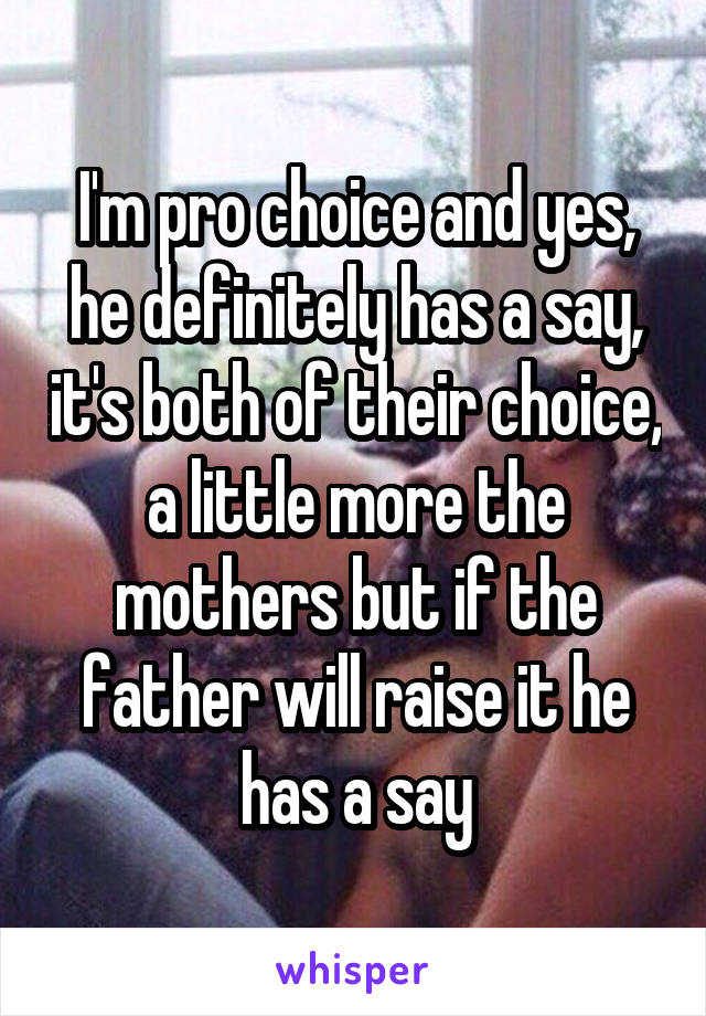 I'm pro choice and yes, he definitely has a say, it's both of their choice, a little more the mothers but if the father will raise it he has a say