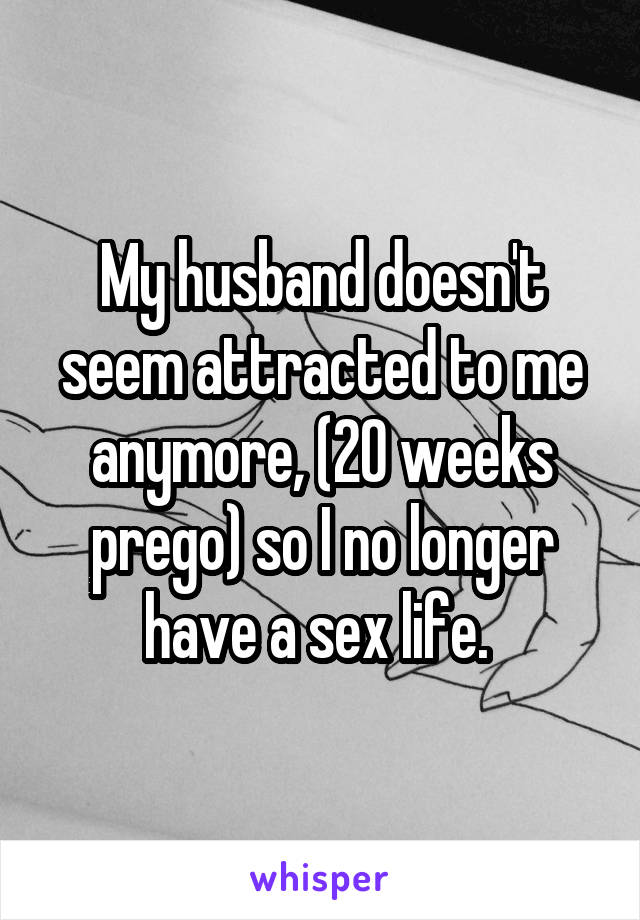 My husband doesn't seem attracted to me anymore, (20 weeks prego) so I no longer have a sex life. 