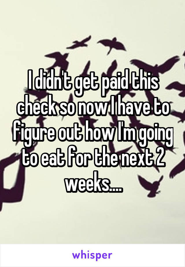 I didn't get paid this check so now I have to figure out how I'm going to eat for the next 2 weeks....