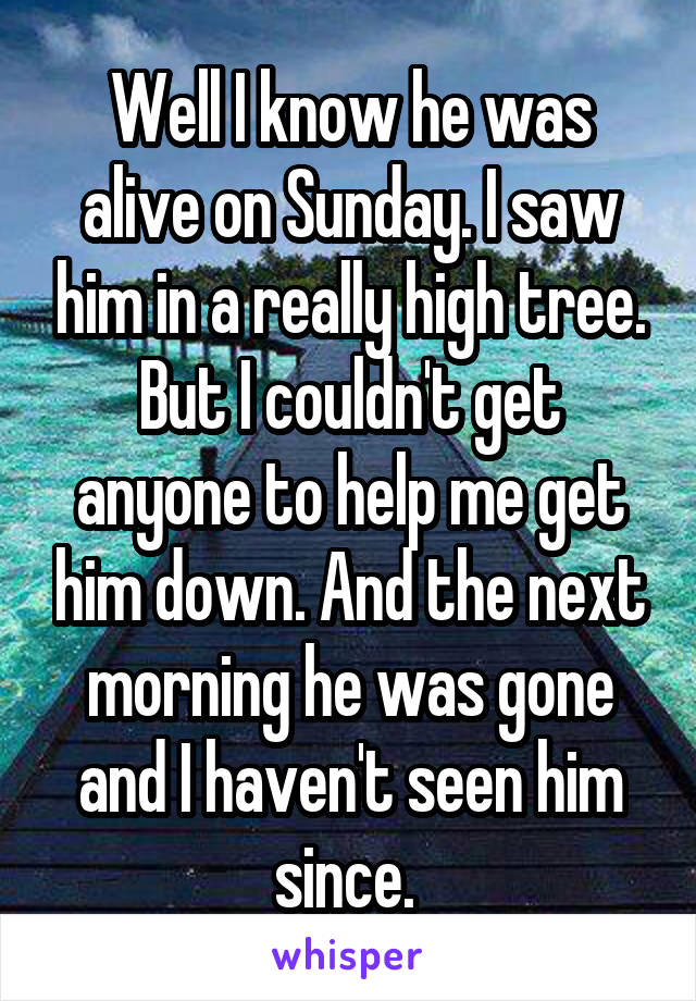 Well I know he was alive on Sunday. I saw him in a really high tree. But I couldn't get anyone to help me get him down. And the next morning he was gone and I haven't seen him since. 