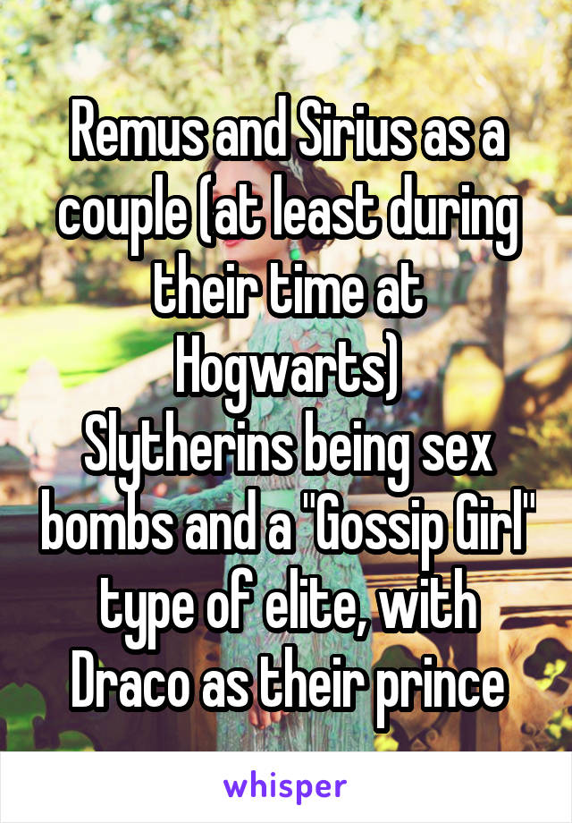 Remus and Sirius as a couple (at least during their time at Hogwarts)
Slytherins being sex bombs and a "Gossip Girl" type of elite, with Draco as their prince