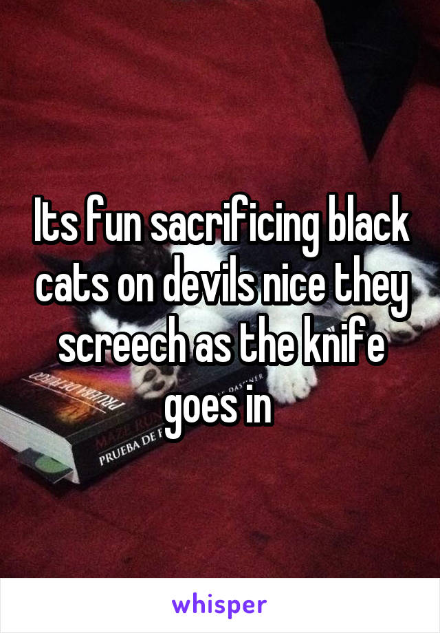Its fun sacrificing black cats on devils nice they screech as the knife goes in 