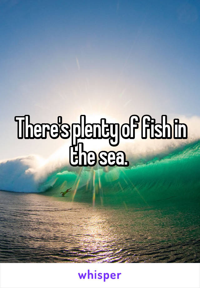There's plenty of fish in the sea. 