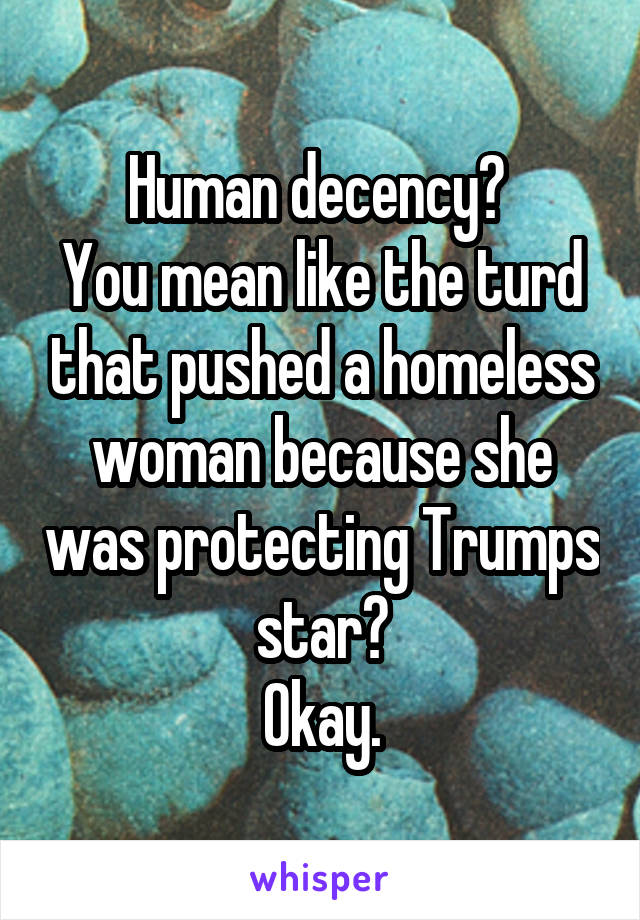 Human decency? 
You mean like the turd that pushed a homeless woman because she was protecting Trumps star?
Okay.