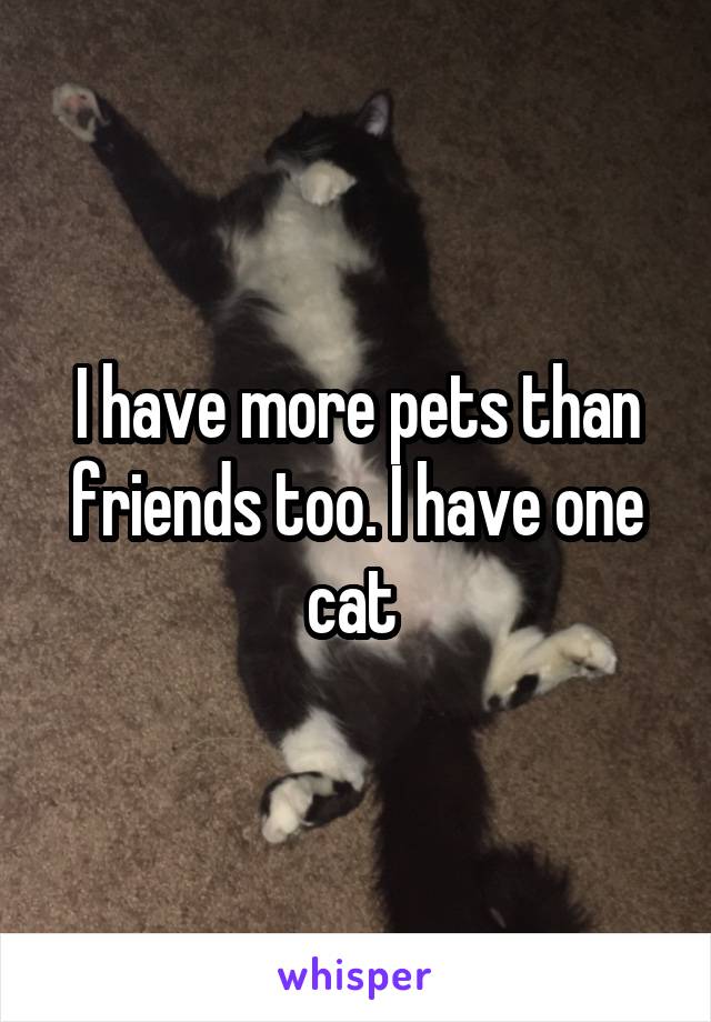 I have more pets than friends too. I have one cat 