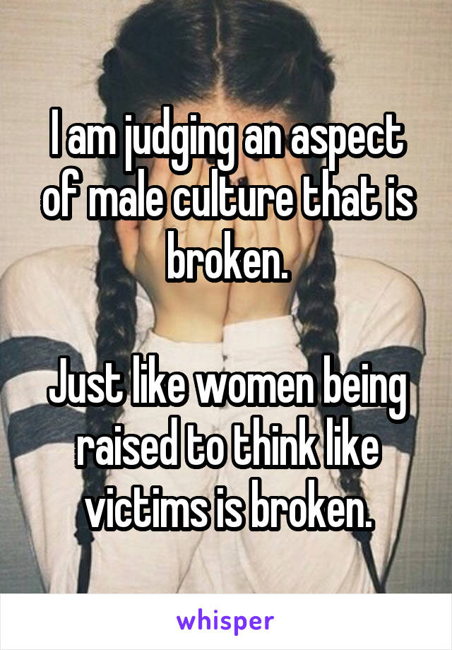 I am judging an aspect of male culture that is broken.

Just like women being raised to think like victims is broken.
