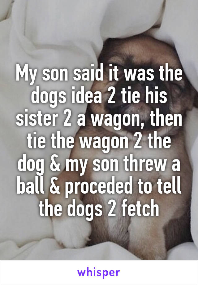 My son said it was the dogs idea 2 tie his sister 2 a wagon, then tie the wagon 2 the dog & my son threw a ball & proceded to tell the dogs 2 fetch