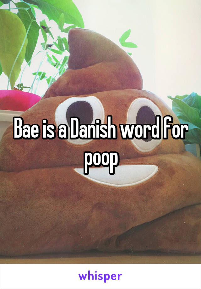 Bae is a Danish word for poop