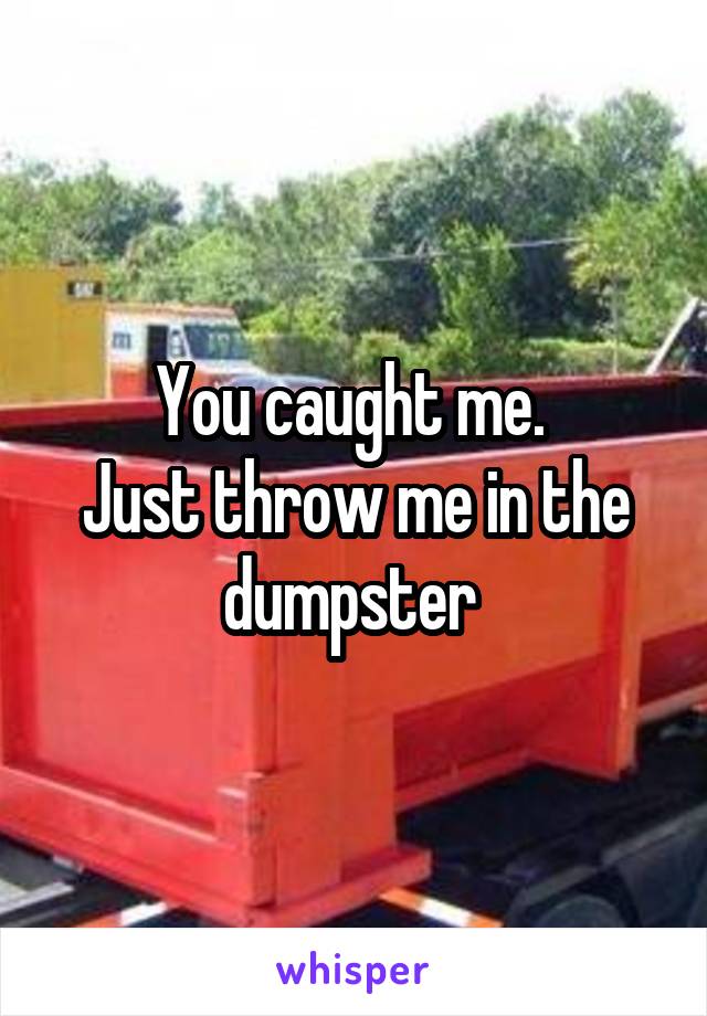 You caught me. 
Just throw me in the dumpster 