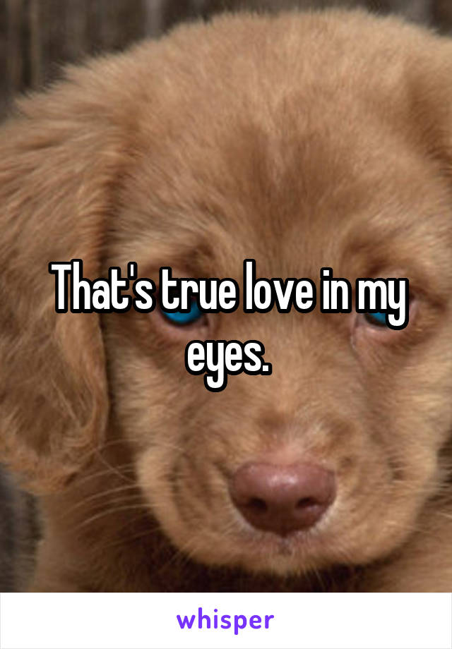 That's true love in my eyes.