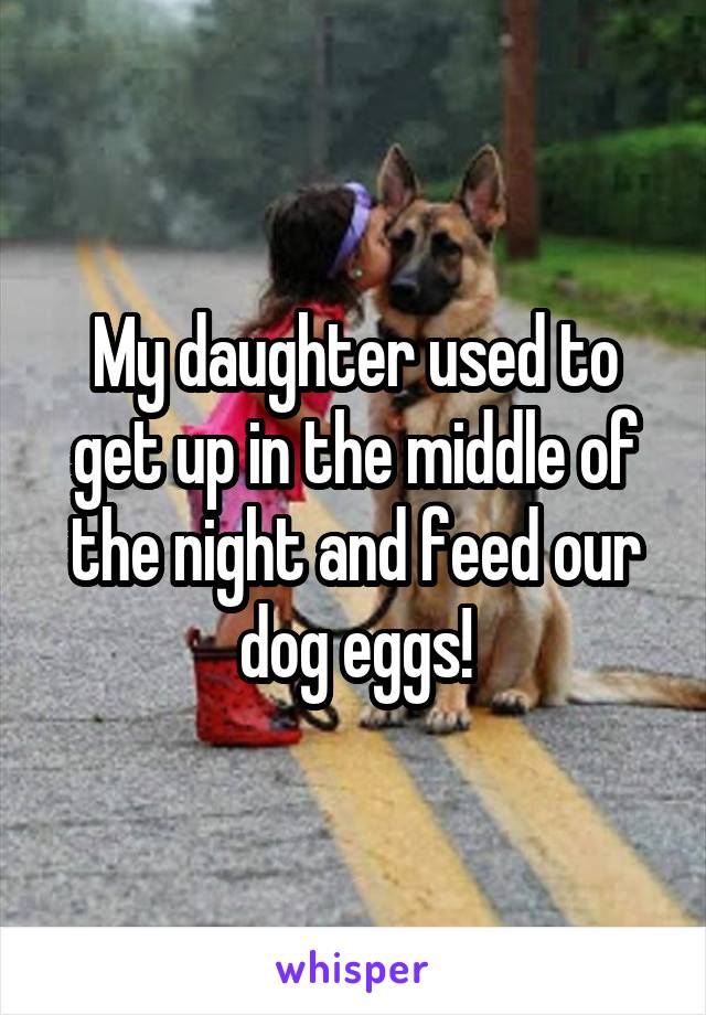 My daughter used to get up in the middle of the night and feed our dog eggs!