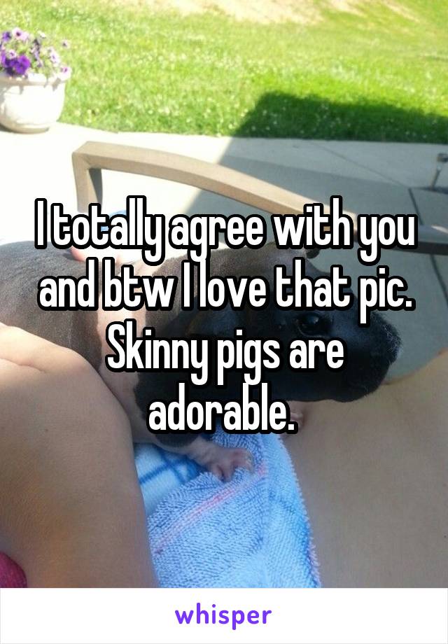 I totally agree with you and btw I love that pic. Skinny pigs are adorable. 
