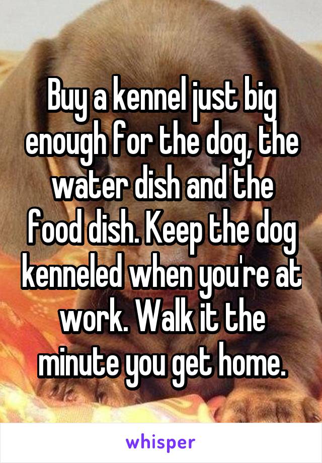 Buy a kennel just big enough for the dog, the water dish and the food dish. Keep the dog kenneled when you're at work. Walk it the minute you get home.