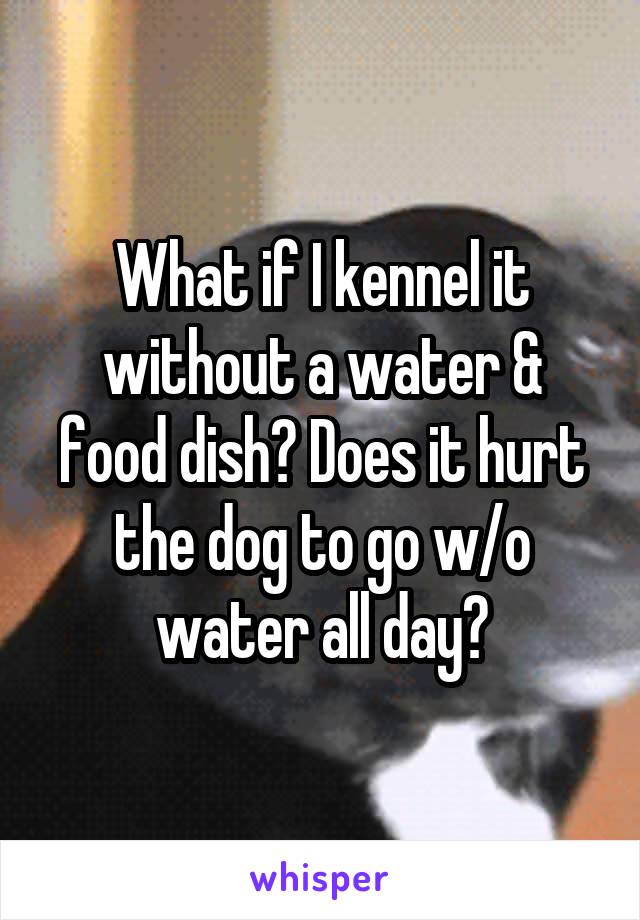 What if I kennel it without a water & food dish? Does it hurt the dog to go w/o water all day?