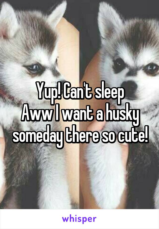Yup! Can't sleep
Aww I want a husky someday there so cute!