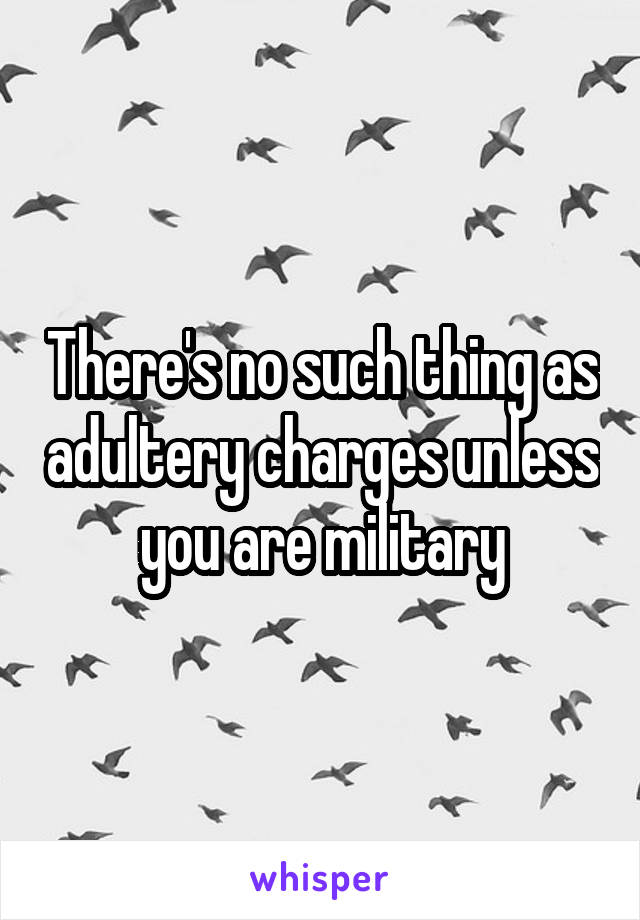 There's no such thing as adultery charges unless you are military