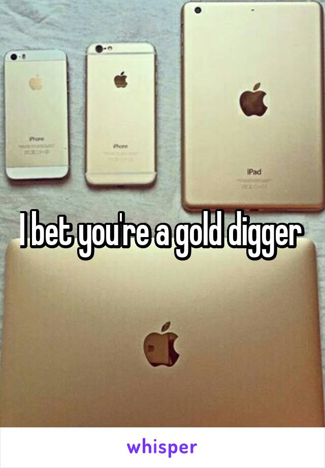 I bet you're a gold digger 