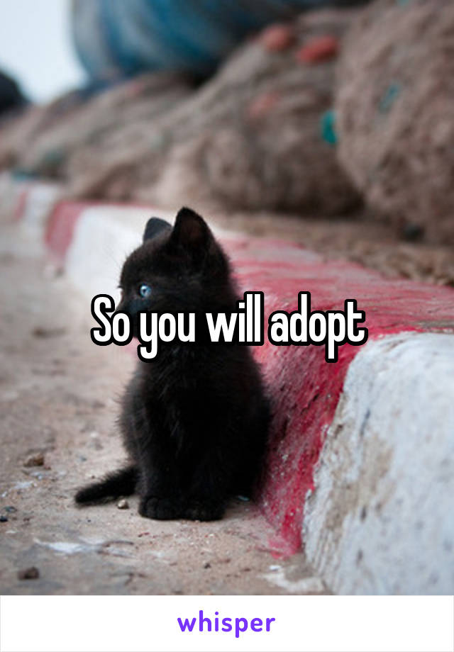 So you will adopt