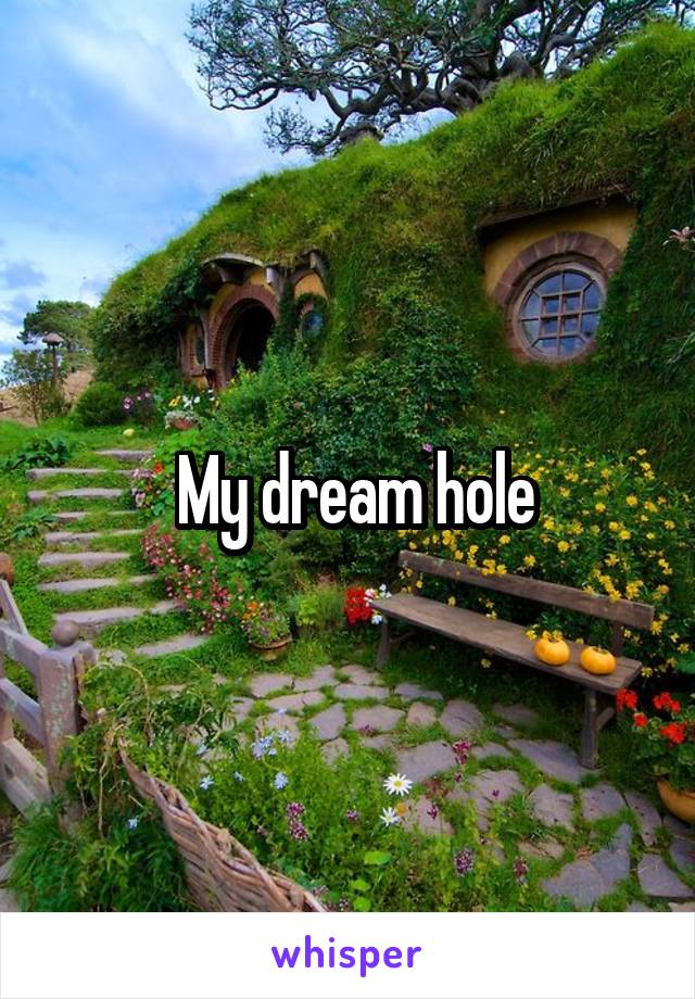  My dream hole